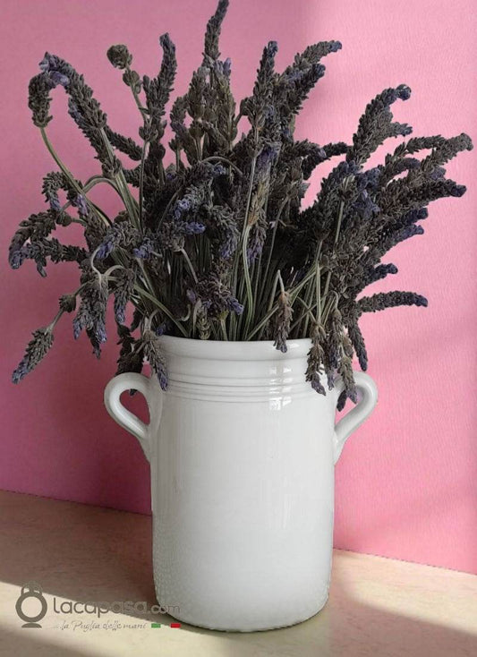 CAPASA decorativa in ceramica - Lacapasa.com