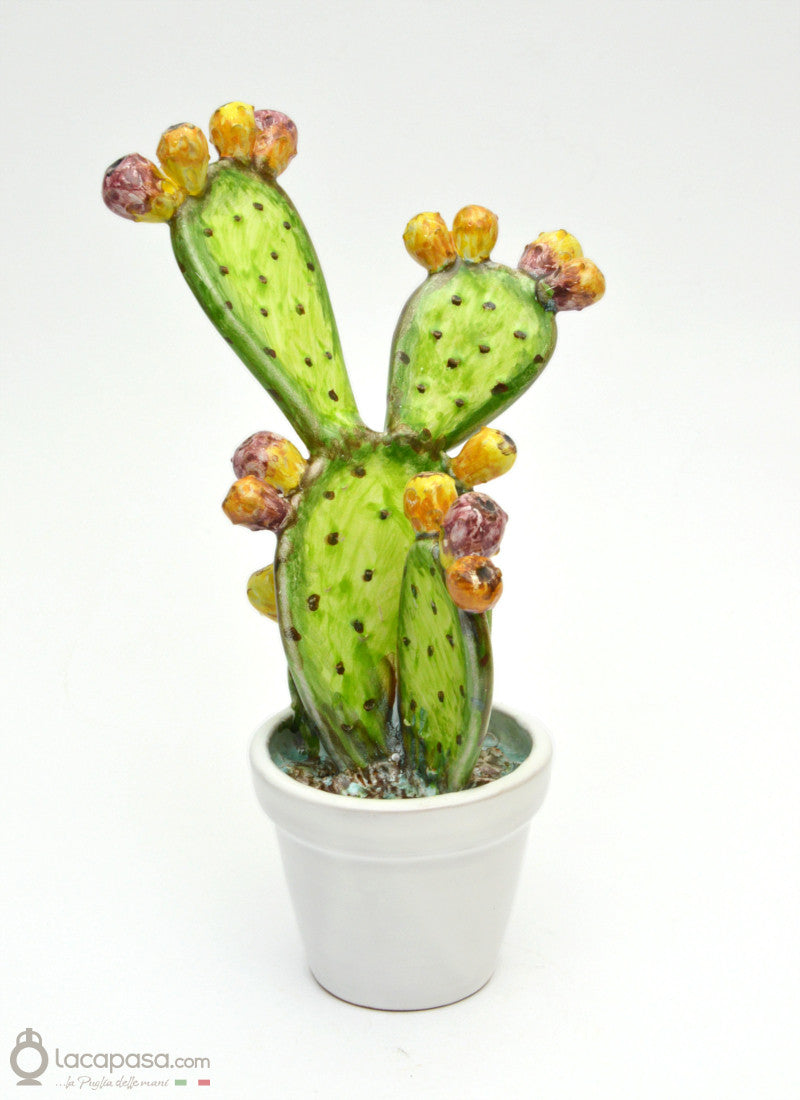 MUSCAREDDA - Cactus in ceramica –