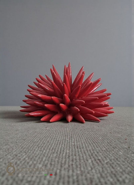 RICCIO DI MARE in ceramica - Lacapasa.com