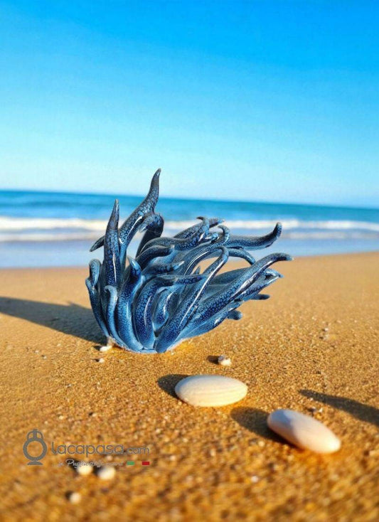 ANEMONE di mare in ceramica - Lacapasa.com