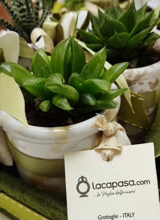 CAPASA con piantina in ceramica - Lacapasa.com