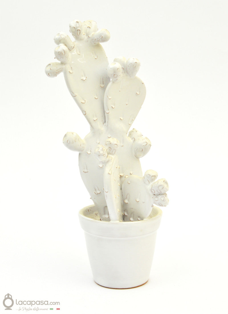 MUSCAREDDA - Cactus in ceramica - Lacapasa.com