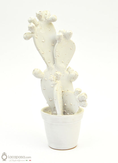 MUSCAREDDA - Cactus in ceramica Lacapasa.com