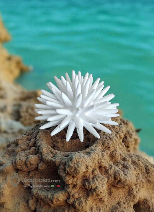 RICCIO DI MARE in ceramica bianca - Lacapasa.com